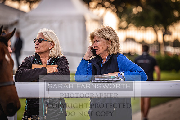 Goffs UK Premier Yearling Sale 2023-323