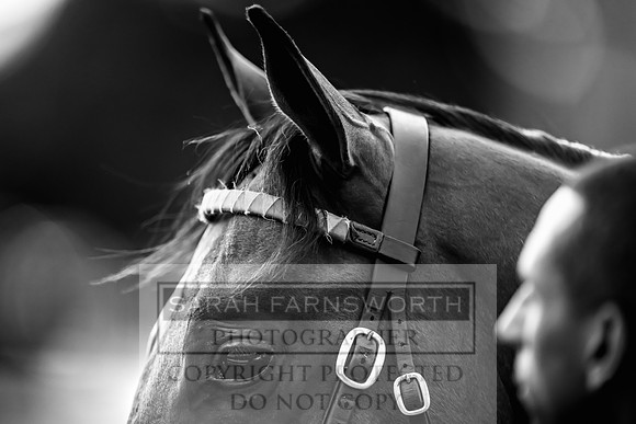 Goffs UK Premier Yearling Sale 2023-279