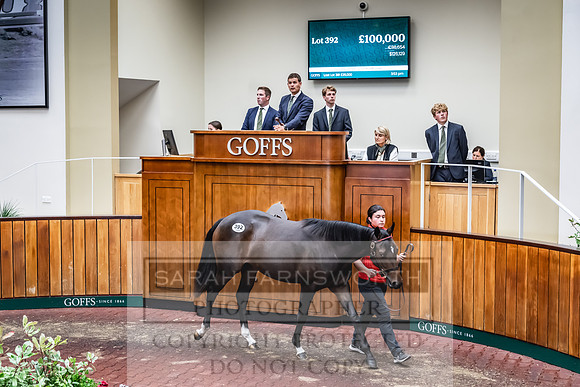 Goffs UK Premier Yearling Sale 2023-493