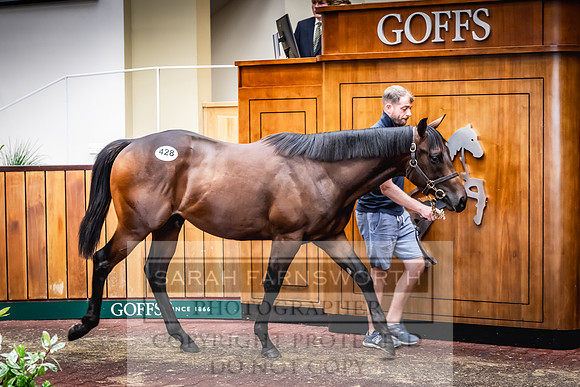 Goffs UK Premier Yearling Sale 2023-529