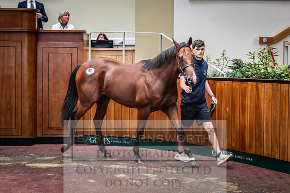 Goffs UK Premier Yearling Sale 2023-206