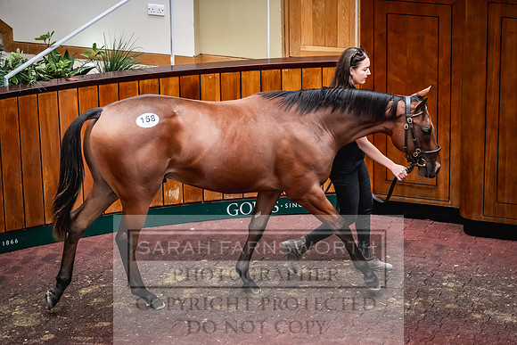 Goffs UK Premier Yearling Sale 2023-257