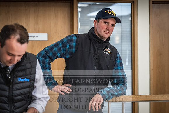 Goffs UK Premier Yearling Sale 2023-486