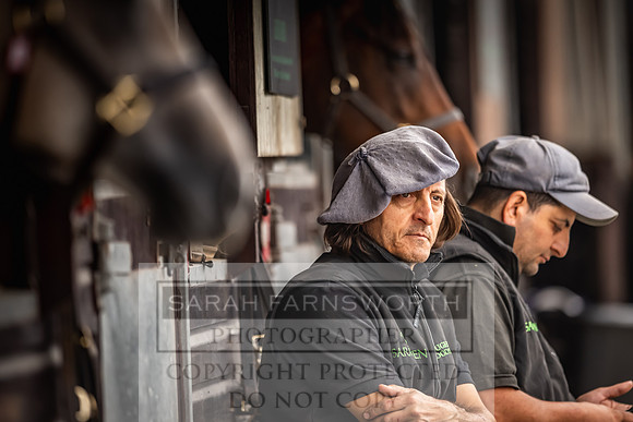 Goffs UK Premier Yearling Sale 2023-73