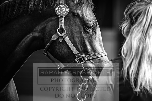 Goffs UK Premier Yearling Sale 2023-382