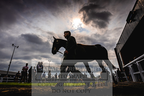 Goffs UK Premier Yearling Sale 2023-139