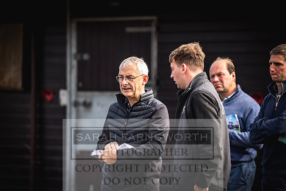 Goffs UK Premier Yearling Sale 2023-375