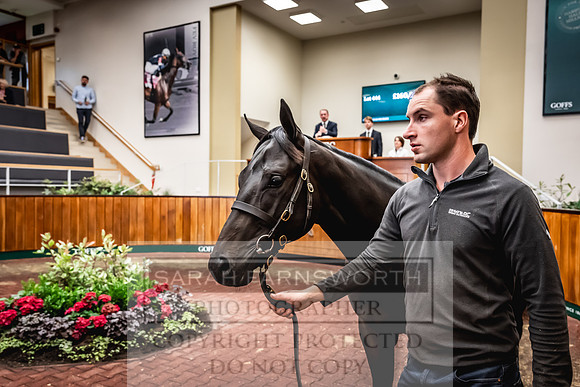 Goffs UK Premier Yearling Sale 2023-537