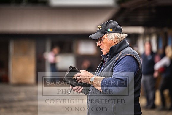 Goffs UK Premier Yearling Sale 2023-56
