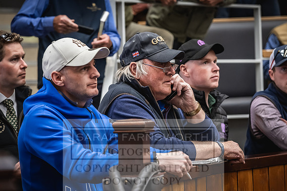 Goffs UK Premier Yearling Sale 2023-490