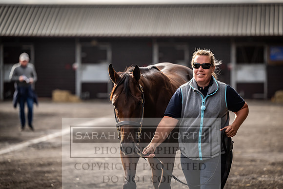 Goffs UK Premier Yearling Sale 2023-354