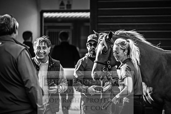 Goffs UK Premier Yearling Sale 2023-515