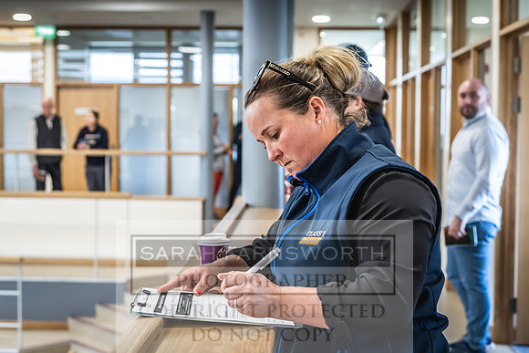 Goffs UK Premier Yearling Sale 2023-494