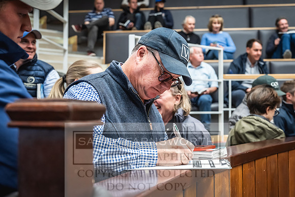 Goffs UK Premier Yearling Sale 2023-456