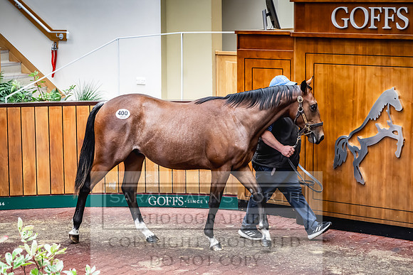 Goffs UK Premier Yearling Sale 2023-497