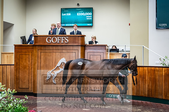 Goffs UK Premier Yearling Sale 2023-462