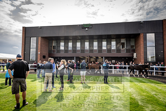 Goffs UK Premier Yearling Sale 2023-248