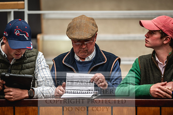 Goffs UK Premier Yearling Sale 2023-285