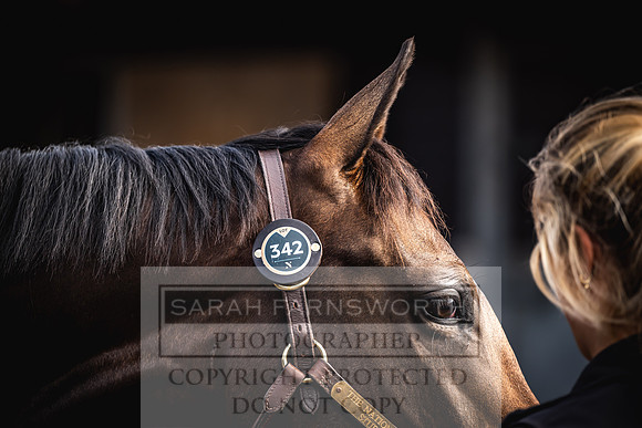 Goffs UK Premier Yearling Sale 2023-386
