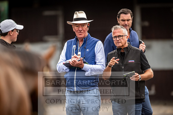 Goffs UK Premier Yearling Sale 2023-96