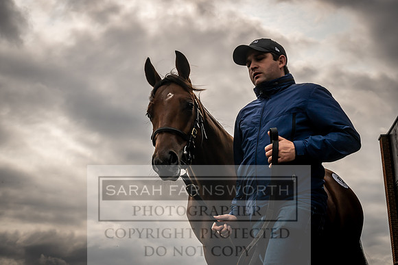Goffs UK Premier Yearling Sale 2023-142