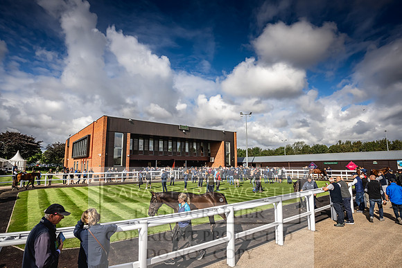 Goffs UK Premier Yearling Sale 2023-410