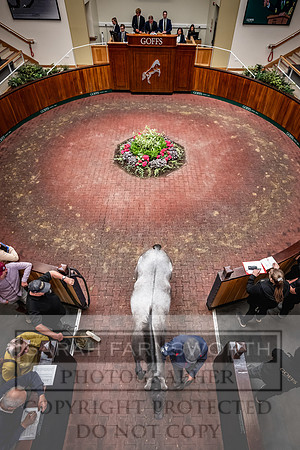 Goffs UK Premier Yearling Sale 2023-238