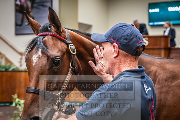 Goffs UK Premier Yearling Sale 2023-198
