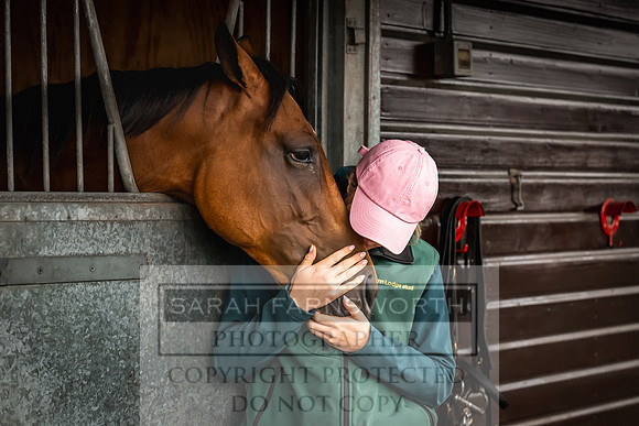 Goffs UK Premier Yearling Sale 2023-49
