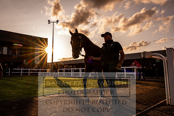Goffs UK Premier Yearling Sale 2023-305