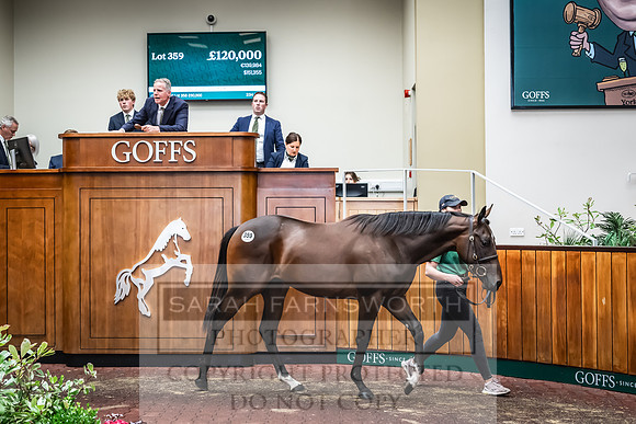 Goffs UK Premier Yearling Sale 2023-475