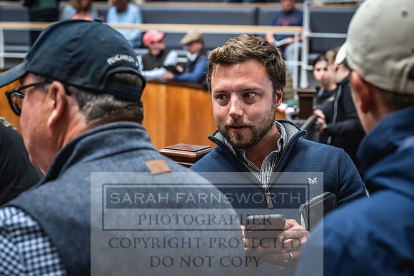 Goffs UK Premier Yearling Sale 2023-455