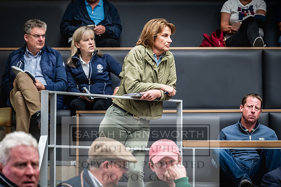 Goffs UK Premier Yearling Sale 2023-154