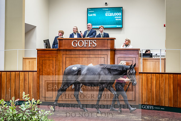 Goffs UK Premier Yearling Sale 2023-204