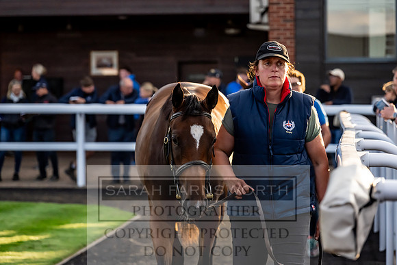 Goffs UK Premier Yearling Sale 2023-311