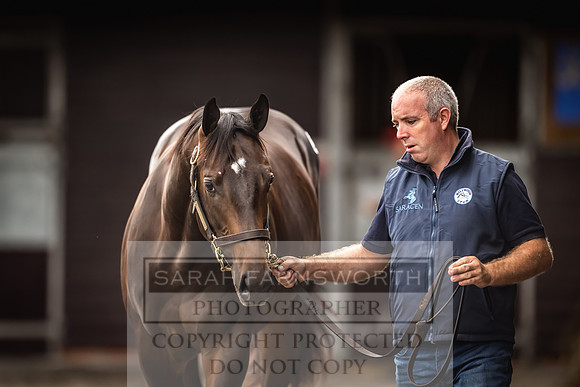 Goffs UK Premier Yearling Sale 2023-100