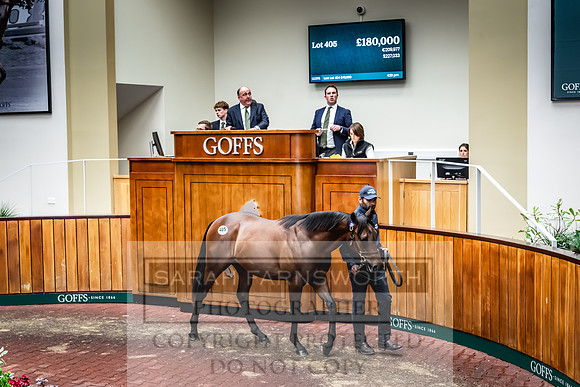Goffs UK Premier Yearling Sale 2023-502