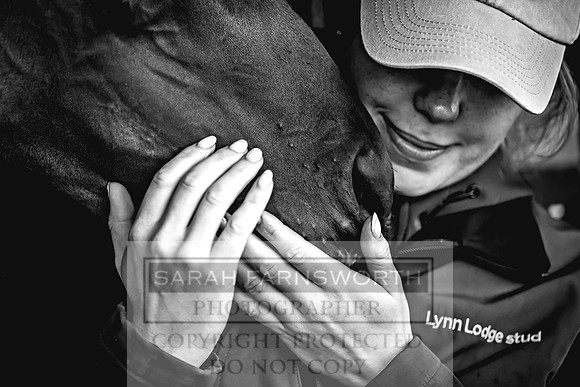 Goffs UK Premier Yearling Sale 2023-51