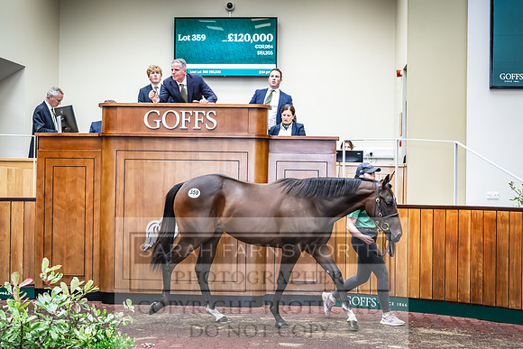Goffs UK Premier Yearling Sale 2023-474
