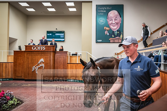 Goffs UK Premier Yearling Sale 2023-156