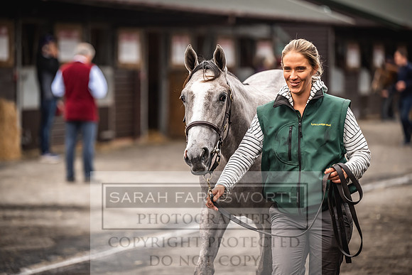 Goffs UK Premier Yearling Sale 2023-39