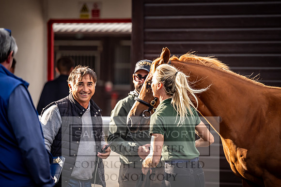Goffs UK Premier Yearling Sale 2023-514