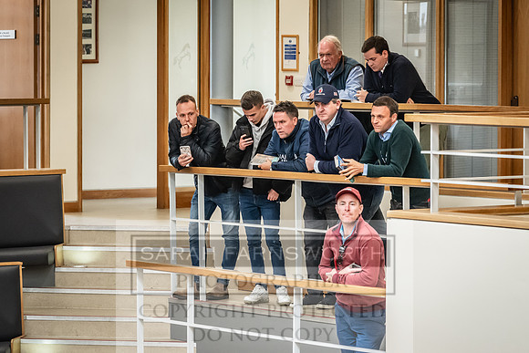 Goffs UK Premier Yearling Sale 2023-130