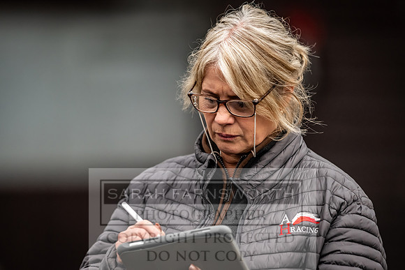Goffs UK Premier Yearling Sale 2023-84