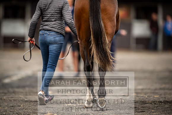 Goffs UK Premier Yearling Sale 2023-104