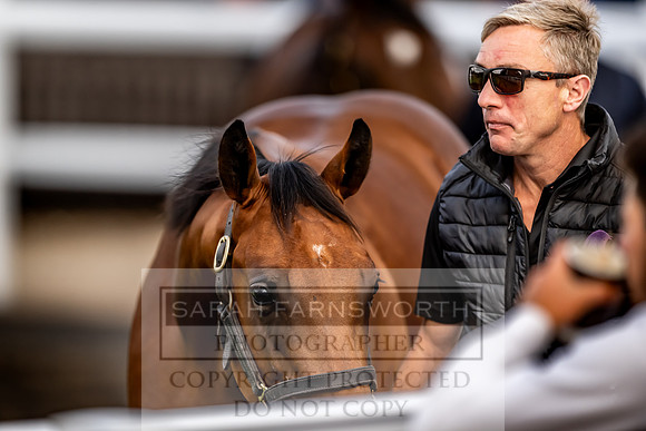 Goffs UK Premier Yearling Sale 2023-281