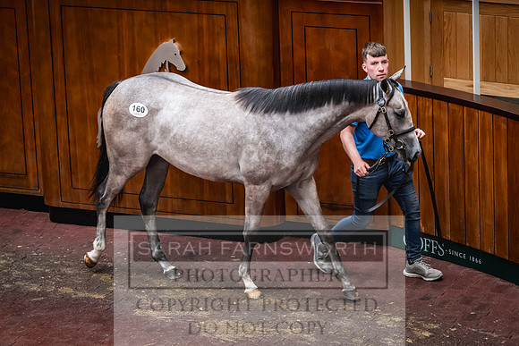 Goffs UK Premier Yearling Sale 2023-258
