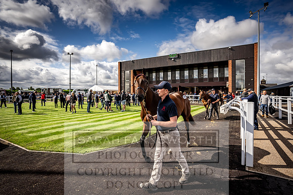 Goffs UK Premier Yearling Sale 2023-406