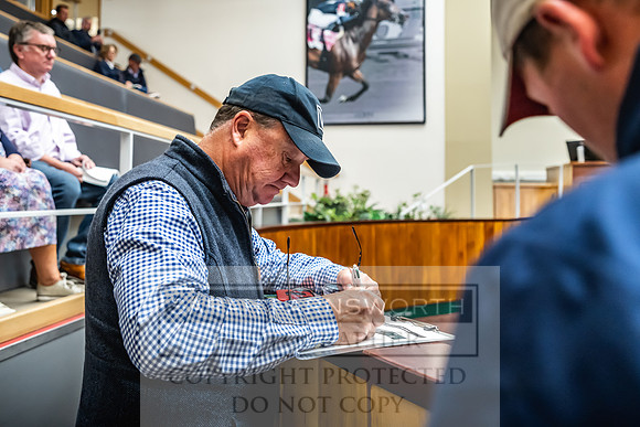 Goffs UK Premier Yearling Sale 2023-429