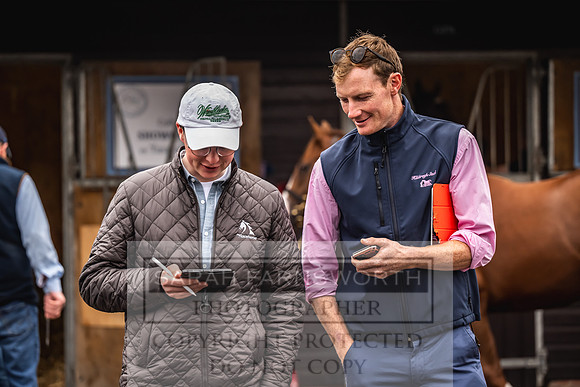 Goffs UK Premier Yearling Sale 2023-66